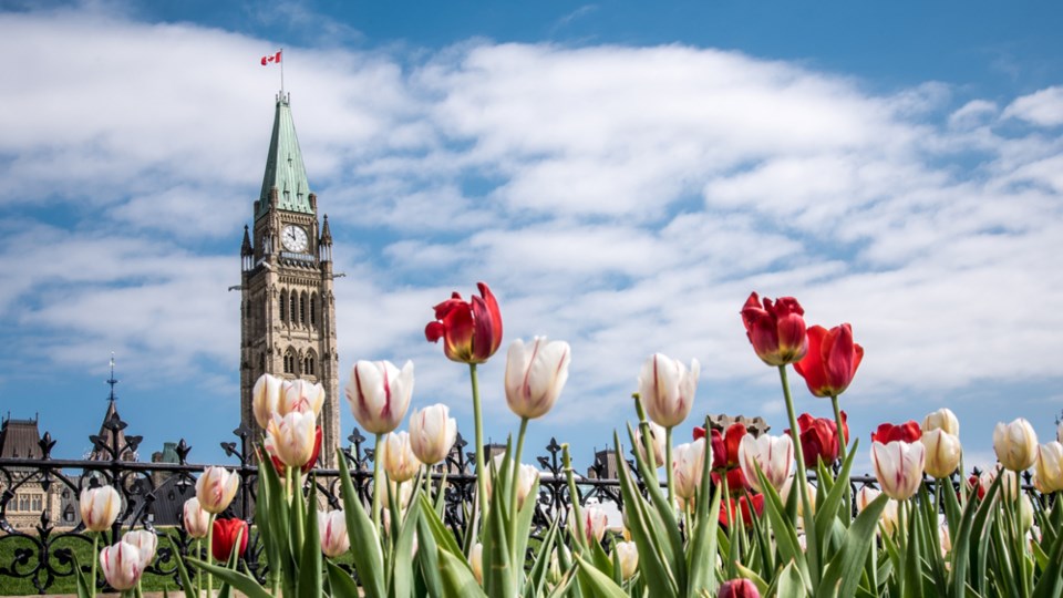 Parliament-spring-Danielle Donders-Moment-Getty Images