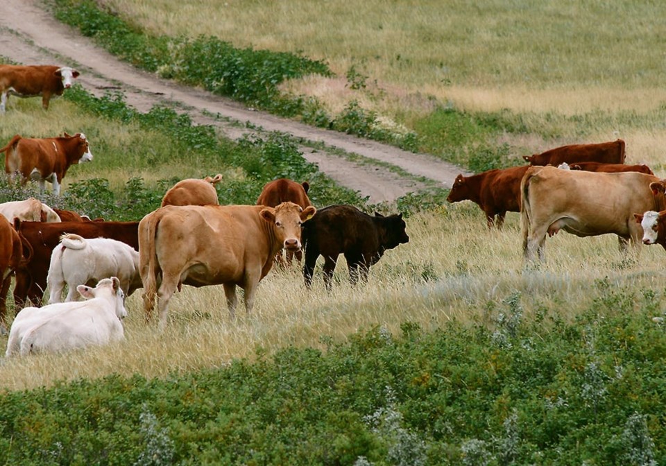 pasture-gates-western-producer