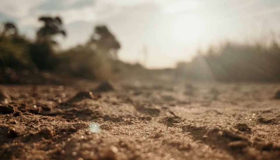 soil-credit-bruno-pereira-unsplash