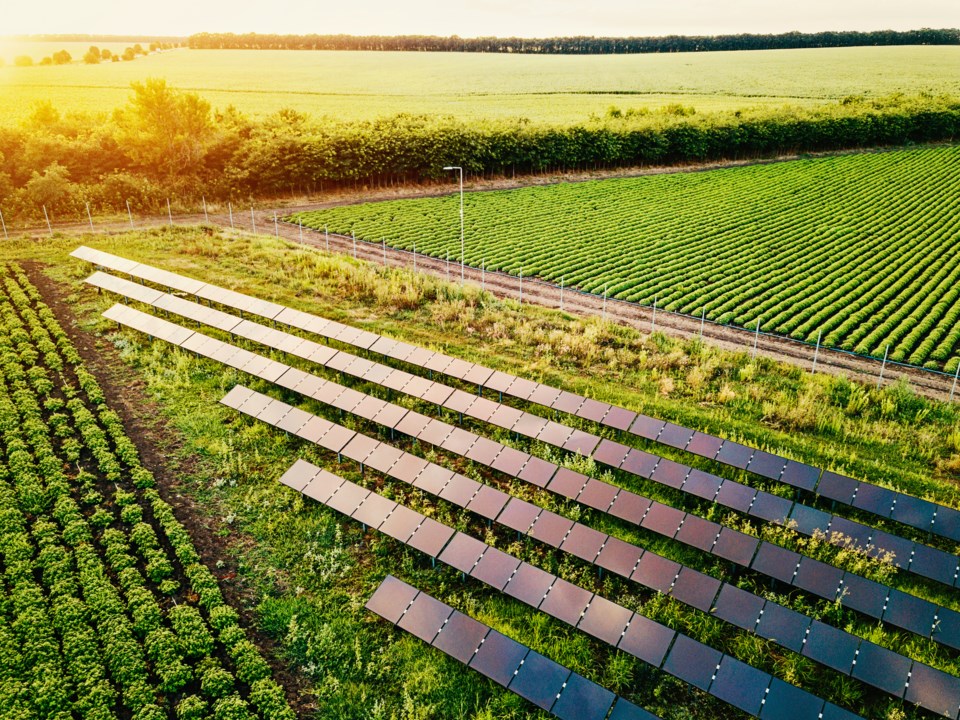 solar-panel-field-pixelfit-eplussymbol-getty-images