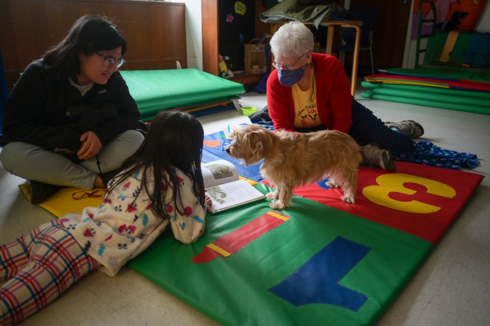 Flash Gordon the therapy dog at work at Brooklyn Public Library. 