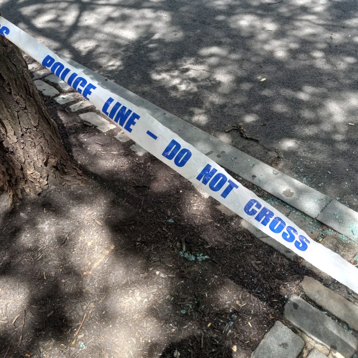 Man Shot Dead in Brighton Beach