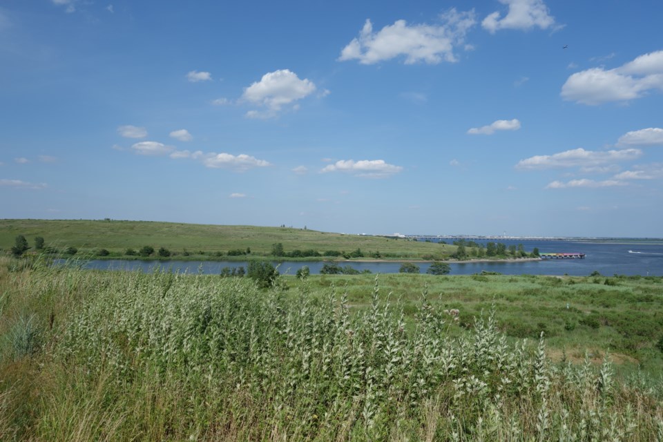 shirley_chisholm_state_park_td_2019-07-14_318_-_red_tail_trail_fountain_avenue_landfill
