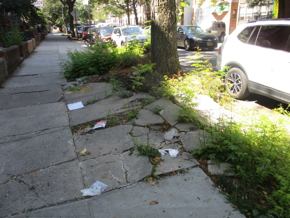 cracked-sidewalk2