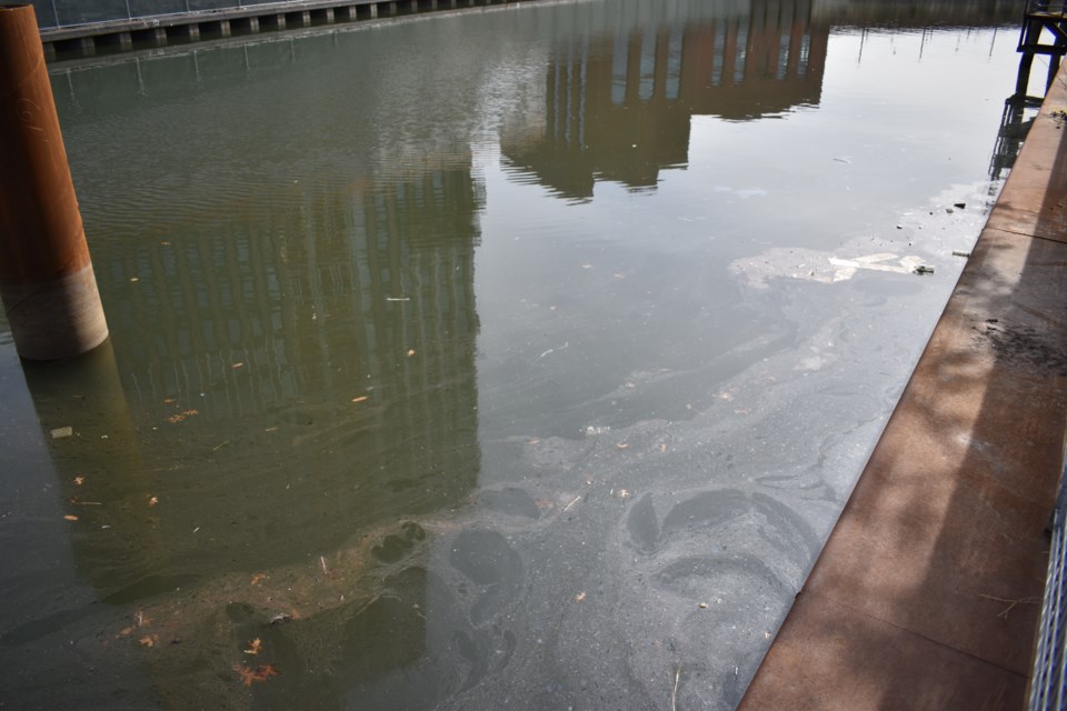 The Gowanus Canal with visible filth as usual.