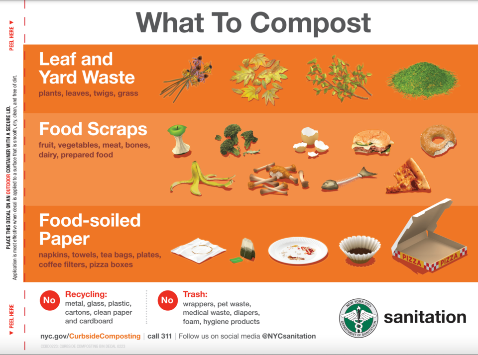What to compost and what not to compost