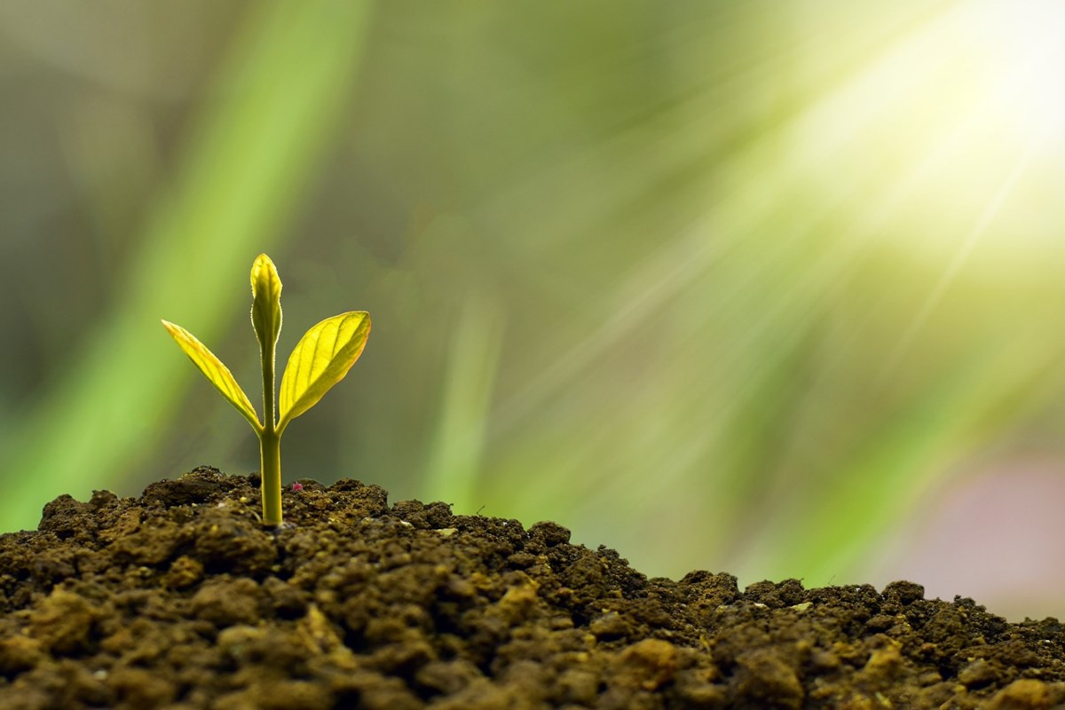 The Role of ESG in Investment Decisions and Trading Trends in 2025 The Role of ESG in Investment Decisions and Trading Trends in 2025