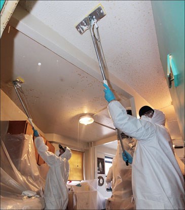 NYCHA contractors conduct mold remediation at LaGuardia Houses , Photo: NYC.gov
