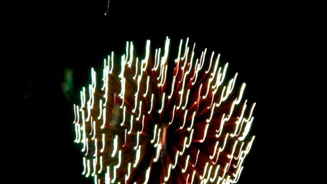 Fireworks at Prospect Park January 1, 2014
