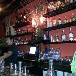 bar, chavela's, crown heights, bk reader, brooklyn reader