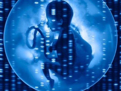Designer-Baby-in-womb-e1344935162956