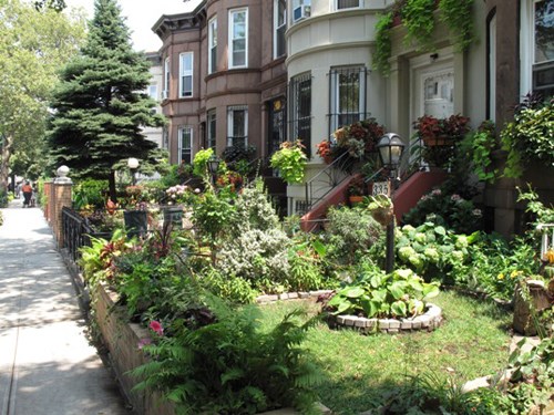 greenest-block-brooklyn-first-place-2011