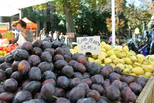 plums-at-farmers-market