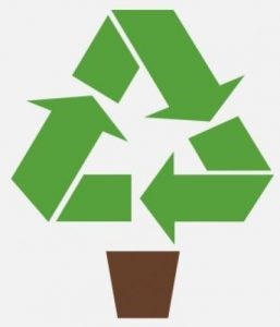 Christmas-Tree-Recycle