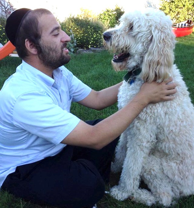Meet Brooklyn&#8217;s Fearless Hasidic Dog Walker