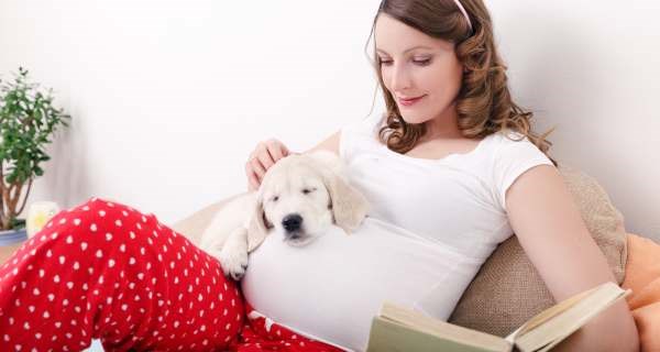 Why dog owners have a better pregnancy