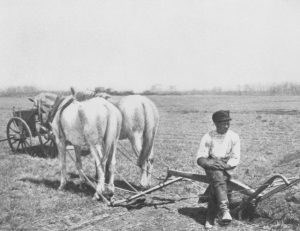 A Brooklyn farmer, circa 1900, high rising Manhattan in the distant background