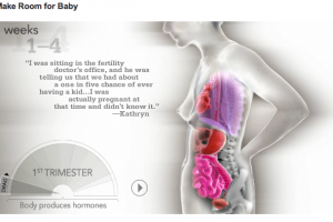 Yikes! A crazy look at where your organs go during pregnancy