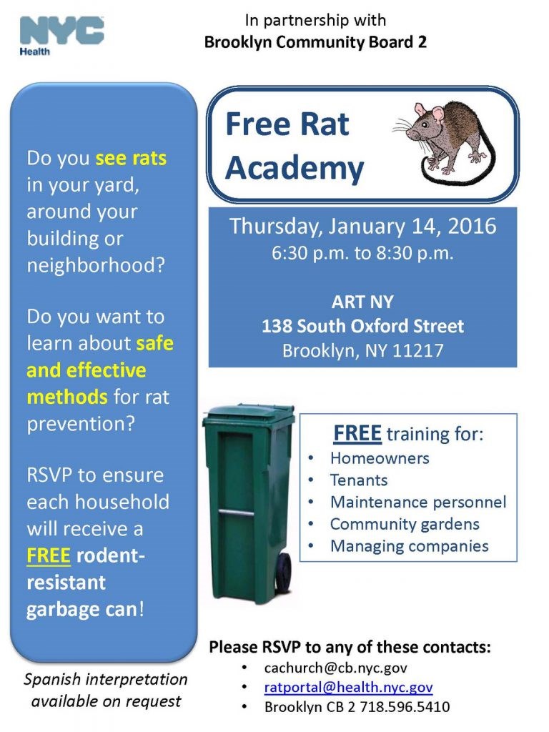 Rat_Academy_Brooklyn-1