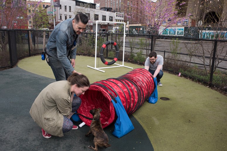 Brooklyn Bridge Park