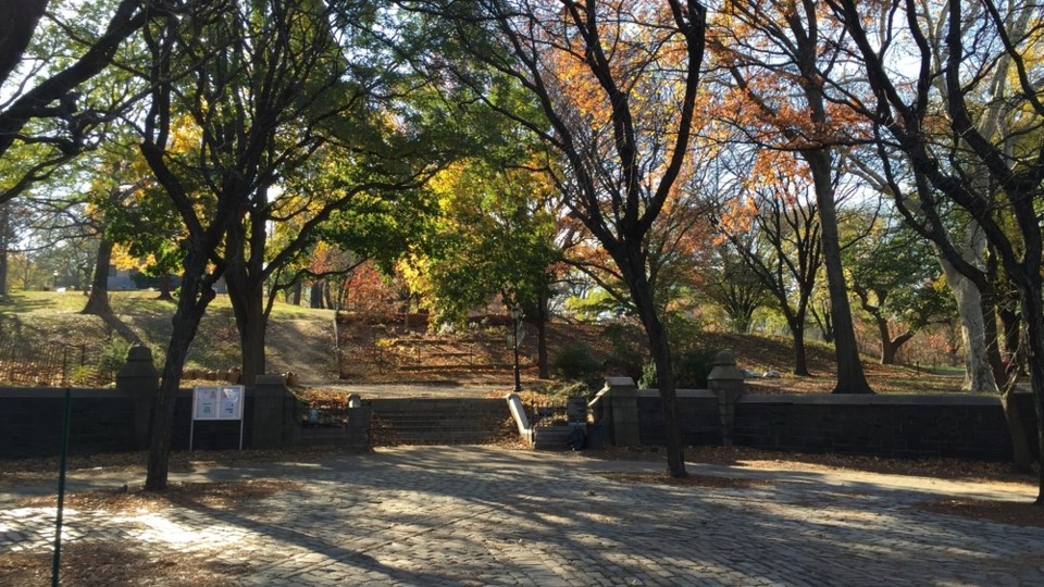 Fort Green Park, Capital Funding