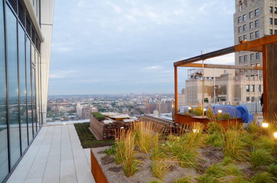 Skyview, from the roofdeck of 300 Ashland Place