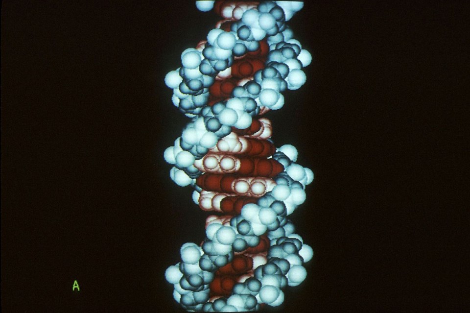 Computer_DNA_molecule_6b411750-63e7-489d-bffb-1ee3960aafe6-prv