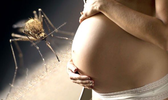 Zika, Pregnancy, BK Reader