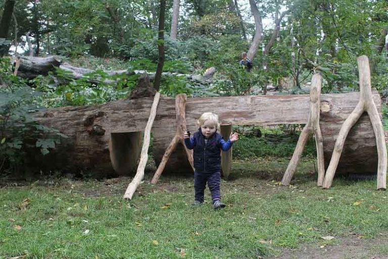 Zucker Natural Exploration Area,Donald and Barbara Natural Exploration Area, Prospect Park, Nellies Lawn, BK Reader, natural playground, kids area, Brooklyn kids, Brooklyn children, activities for children, Broke MC,