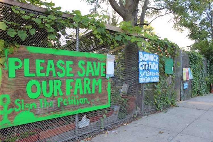 Urban Agriculture, BK Reader, Edenworks, East New York, food deserts, Brownsville, Brooklyn food deserts, Brooklyn urban farming, NYC City Council, Rafael Episnal, David Greenfield, Jason Green, New York City Committee of Land Use, The Department of City Planning, New York City Community Garden Coalition, Bushwick City Farm