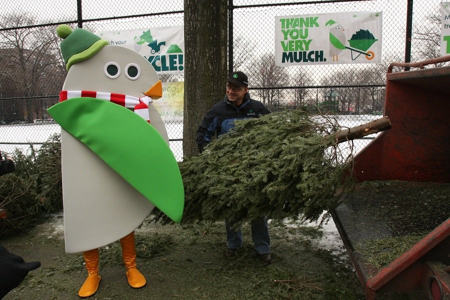 Treecycling, BK Reader