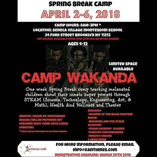 Flyer for Camp Wakanda