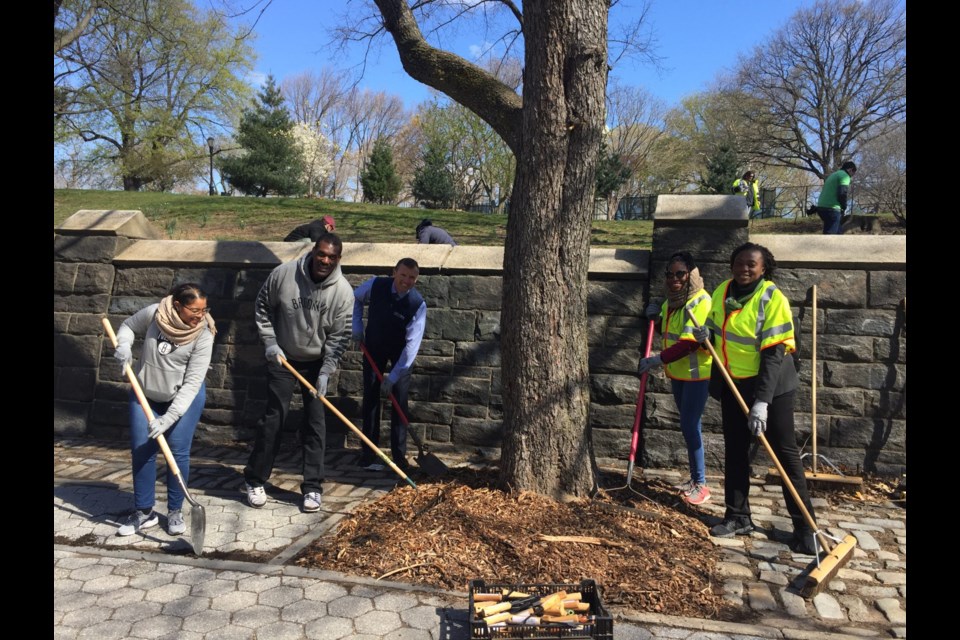 Brooklyn Nets legend Albert King and a team of volunteers mulching. Photo courtesy National Grid.
