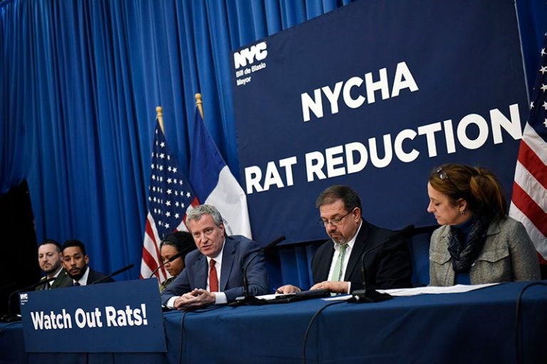 The city is declaring war on the rat population in ten public housing developments across the city.