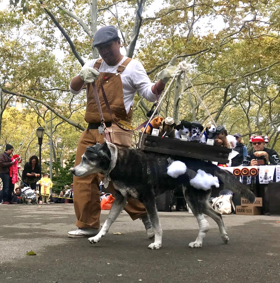 The Great PUPkin 2018,