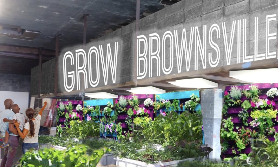 &#8220;Grow Brownsville&#8221; virtual aquaponic farm design, BK Reader