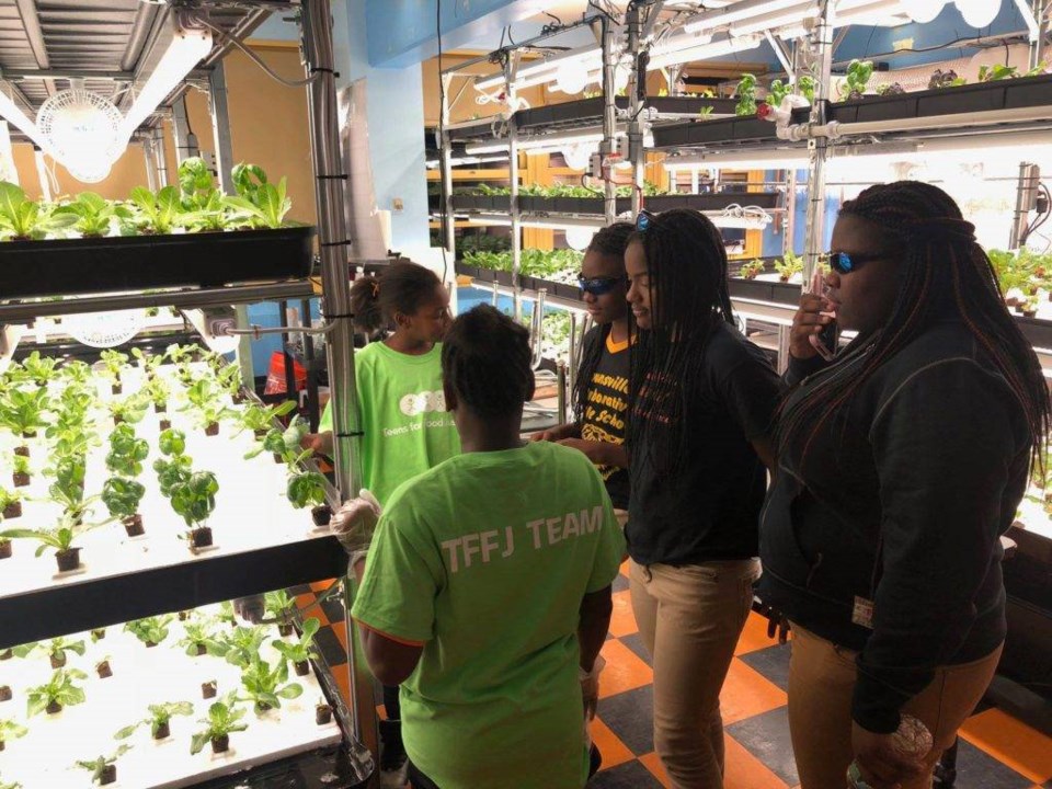 Brownsville Hydroponic School Farm