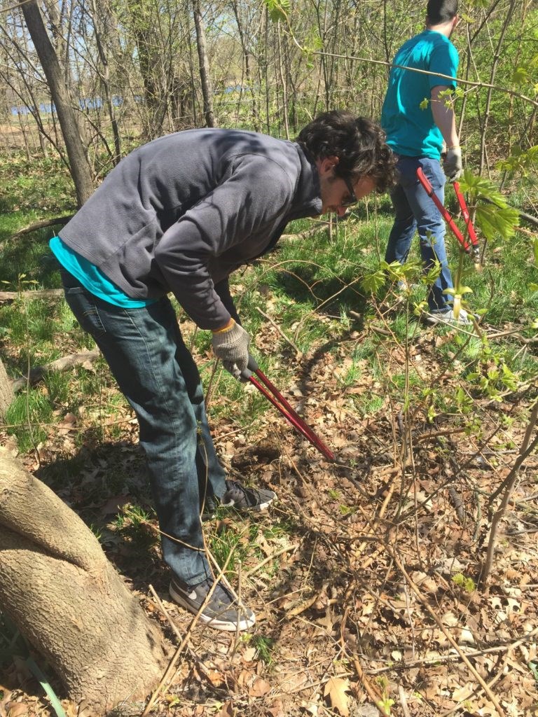 Prospect Park, Brooklyn's arboreal wonderland, got a little TLC from 75 volunteers in observation of Earth Day