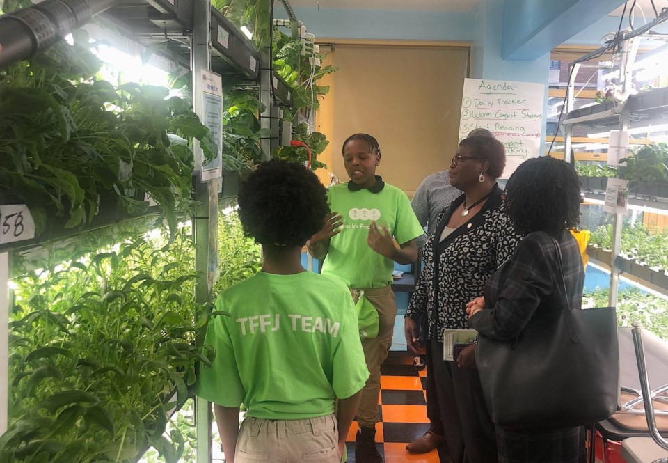 Brownsville Hydroponic Farm, BK Reader