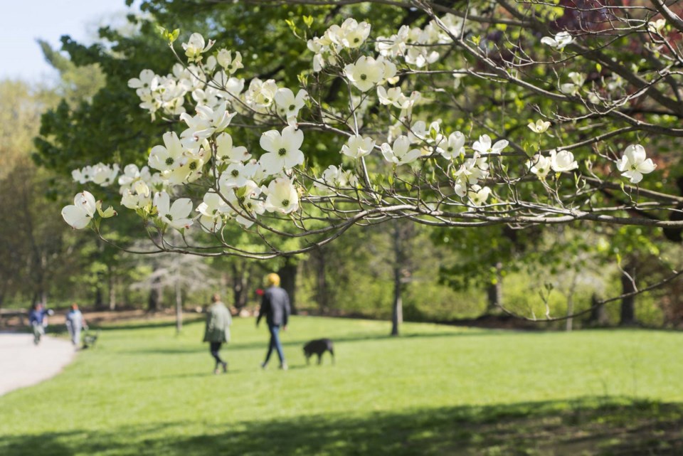 Prospect Park, BK Reader