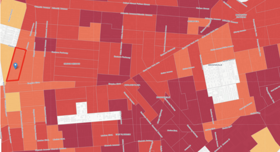 Census 2020, NYC BLAC, Lurie Daniel-Favors, Crown Heights