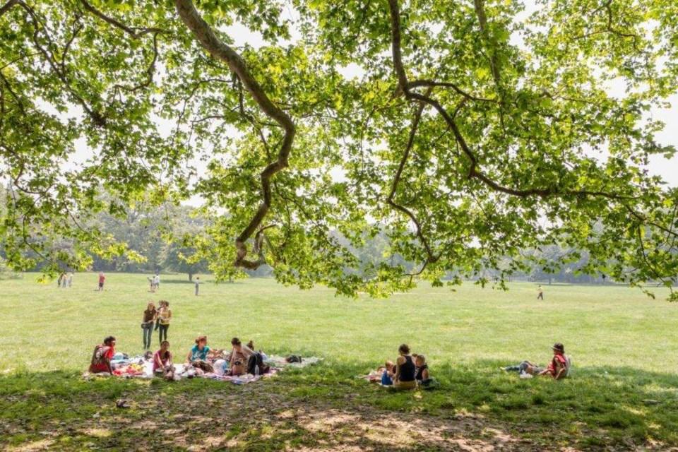 Find a cozy spot in Prospect Park with your favorite girl!
