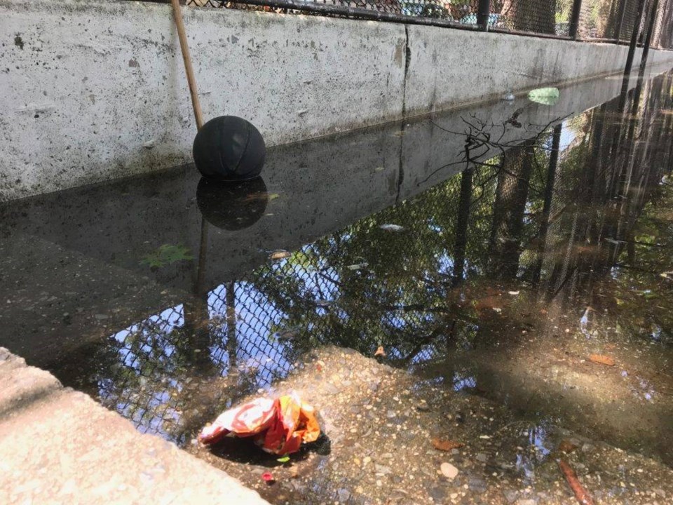 Garbage floating in flooded stairway in a Clinton Hill playground