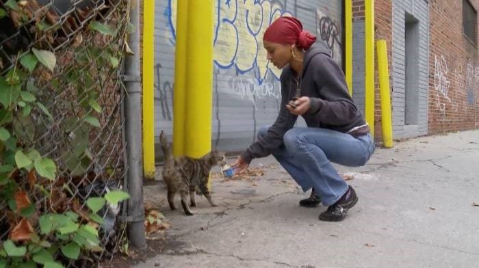 A group of Brooklyn feline-loving activists, who have set out to aid NYC's street cats, are in the center of a new documentary.