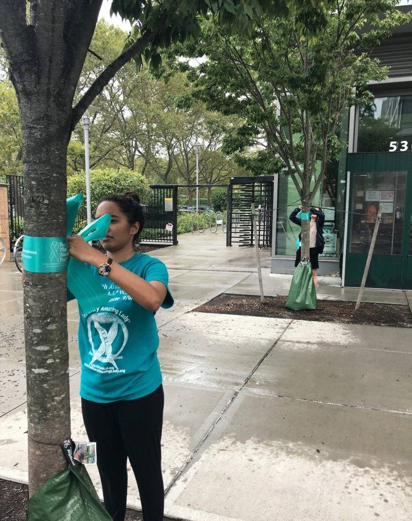 Advocates tied teal-colored ribbons on trees along Myrtle Avenue Plaza to raise awareness ahead of September's National Ovarian Cancer Awareness Month.