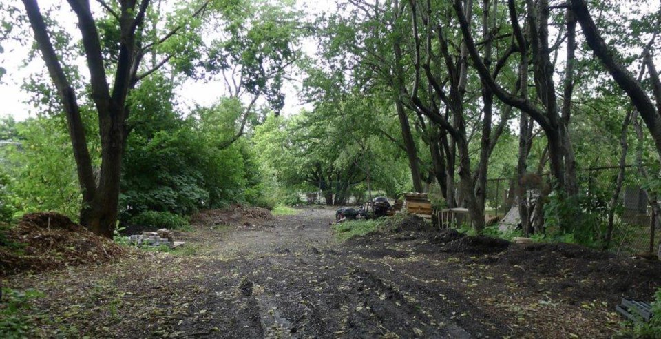 Abderdeen Street Community Garden, Bushwick, new garden, New York Restoration Project