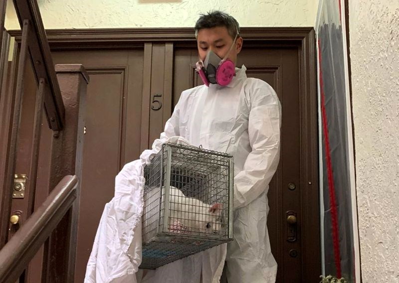 NYC shelters rescue pets left behind by people dead from coronavirus