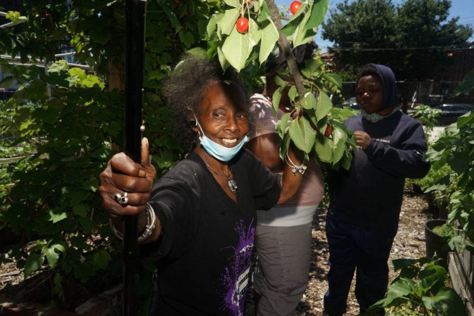 Brenda Dushane mentors women in the community to run other community gardens in the neighborhood. Photo by Russell Frederick.