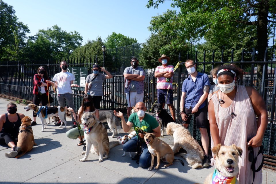 Let the dogs in! Brooklyn dog owners demand de Blasio to open city dog runs