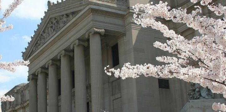 Visit_Brooklyn_Museum_cherryblossom_view_2005_01_Husted_banner_1440x360